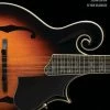 Music Books HAL LEONARD MANDOLIN METHOD – BOOK 1: SECOND EDITION 2 Music Books HAL LEONARD MANDOLIN METHOD – BOOK 1: SECOND EDITION