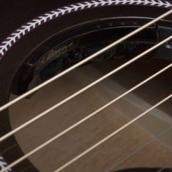 Guitars Seagull Artist Mosaic Concert Hall CW Bourbon Burst GT Anthem EQ