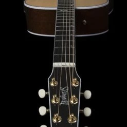 Guitars Seagull Artist Mosaic Anthem EQ Acoustic Electric Guitar