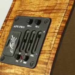 Maton AP5-Pro Acoustic Guitar Pickup System
