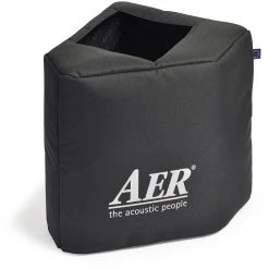 AER AMP AER Compact 60/4 Slope 60W 1x8 Acoustic Guitar Combo Amp Amplifiers
