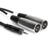 Hosa Stereo Breakout 3.5 Mm TRS To Dual XLR3M 3 M CYX-403M