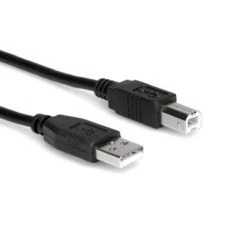 Hosa Adapters & Cables High Speed USB Cable Type A To Type B 10 Ft USB-210AB