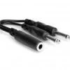 Hosa Y Cable 1/4 In TSF To Dual 1/4 In TS YPP-106 Adapters & Cables