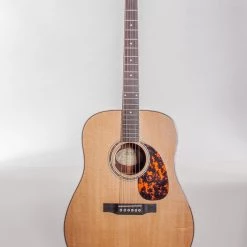 Guitars Larrivee D09-E Dreadnought Acoustic & Electric Guitar