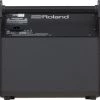 Amplifiers Roland PM-100 80-watt 1x10 Inch Personal Drum Monitor