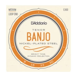 DAddario D'Addario EJ63 Tenor Banjo, Nickel, 9-30 Strings