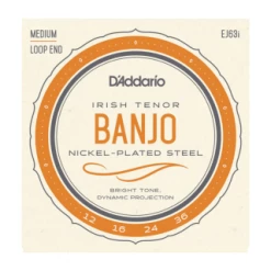 DAddario D'Addario EJ63i Irish Tenor Banjo Strings, Nickel, 9-30